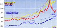 soft commodities