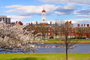 harvard